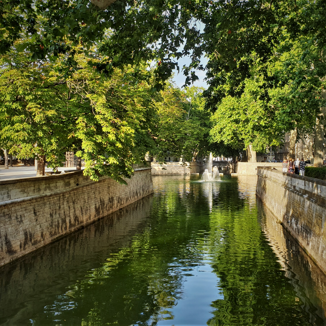 Nîmes les jardins de la Fontaine ©1MP2